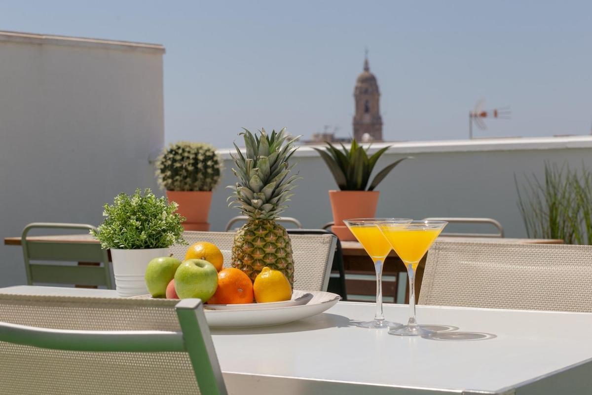 C56 - With Amazing Terrace In The Centre Apartment Málaga